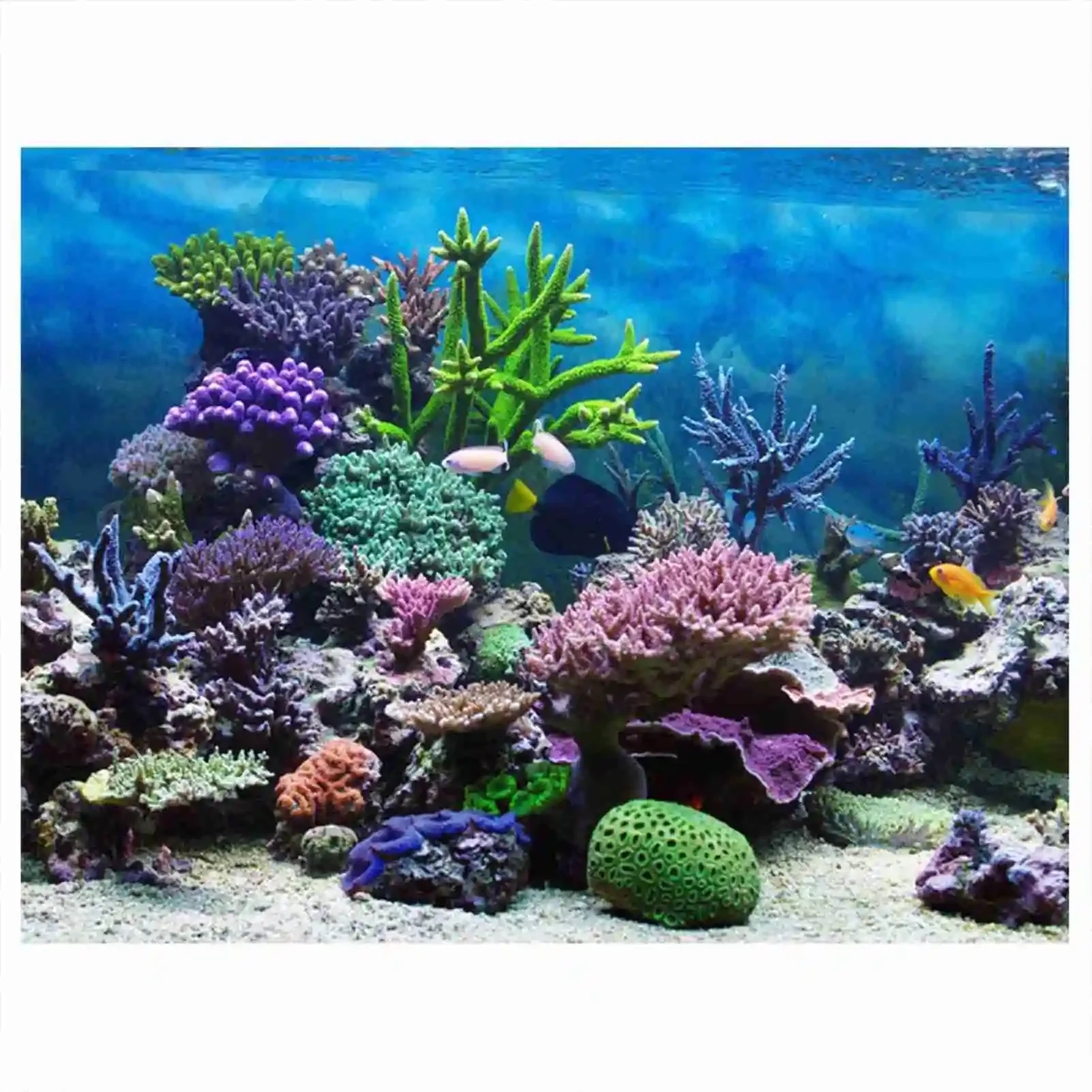 Marine Aquarium Glue - 3D аквариум пейзаж постер тропический лес