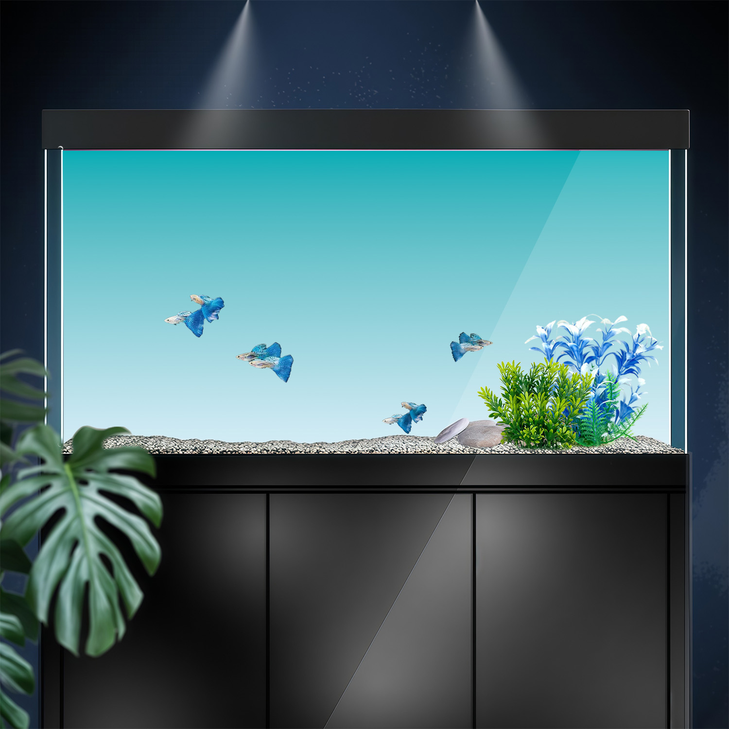 Сине-белый градиентный фон для – обзор и цена Marine Aquarium Glue
