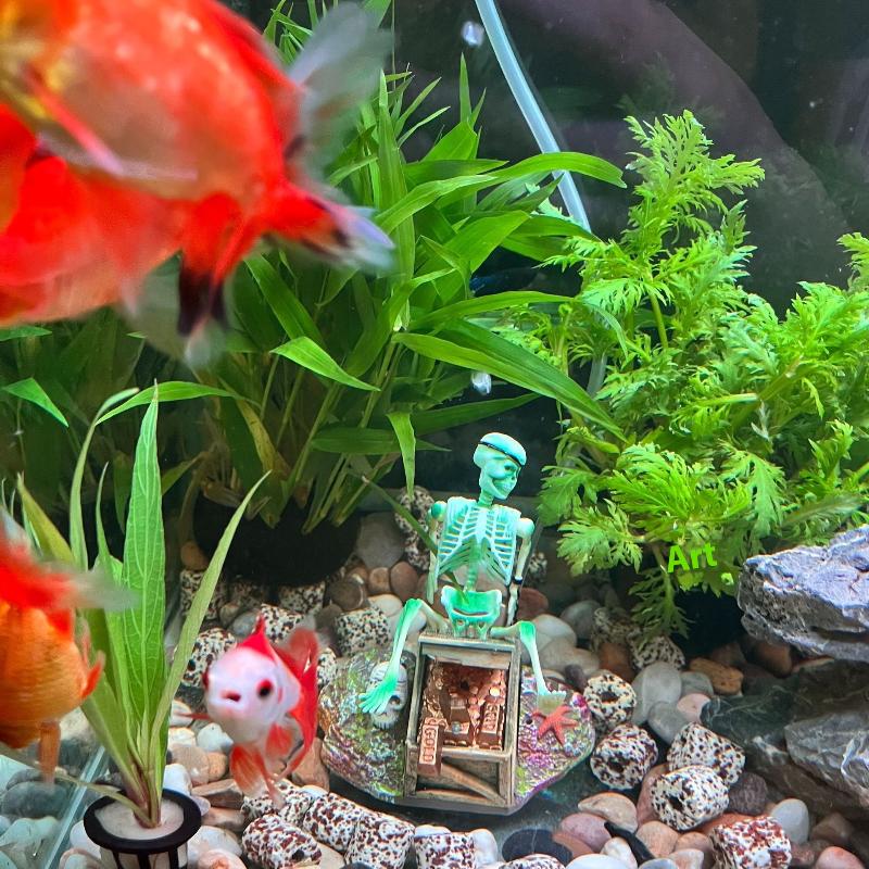 Аквариум, аэробный пейзаж, пуз – обзор и цена Marine Aquarium All In One
