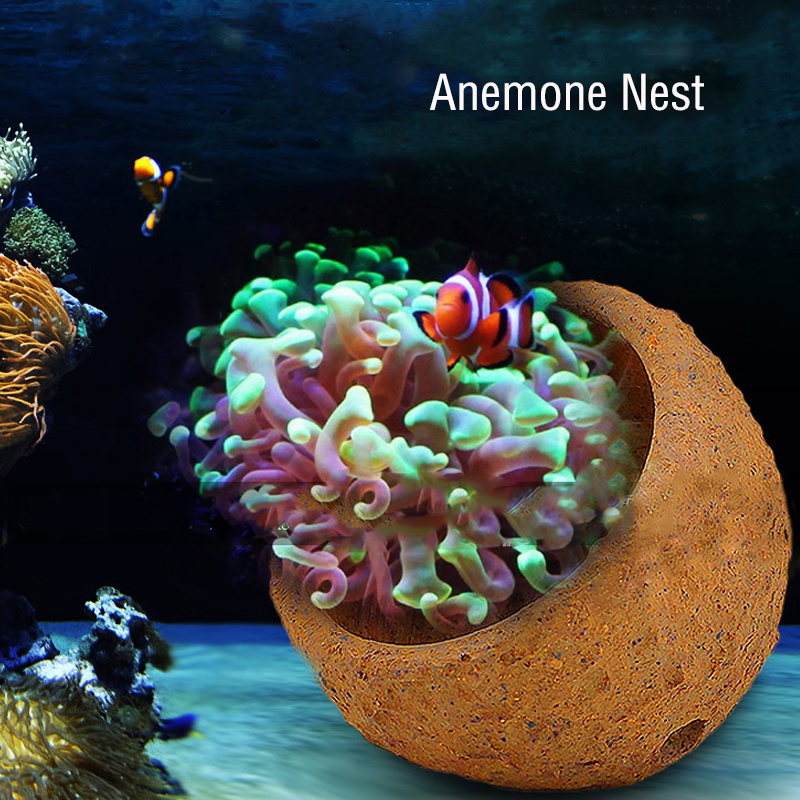 Анемоновое гнездо предотвращаю – обзор и цена Marine Aquarium Live Sand