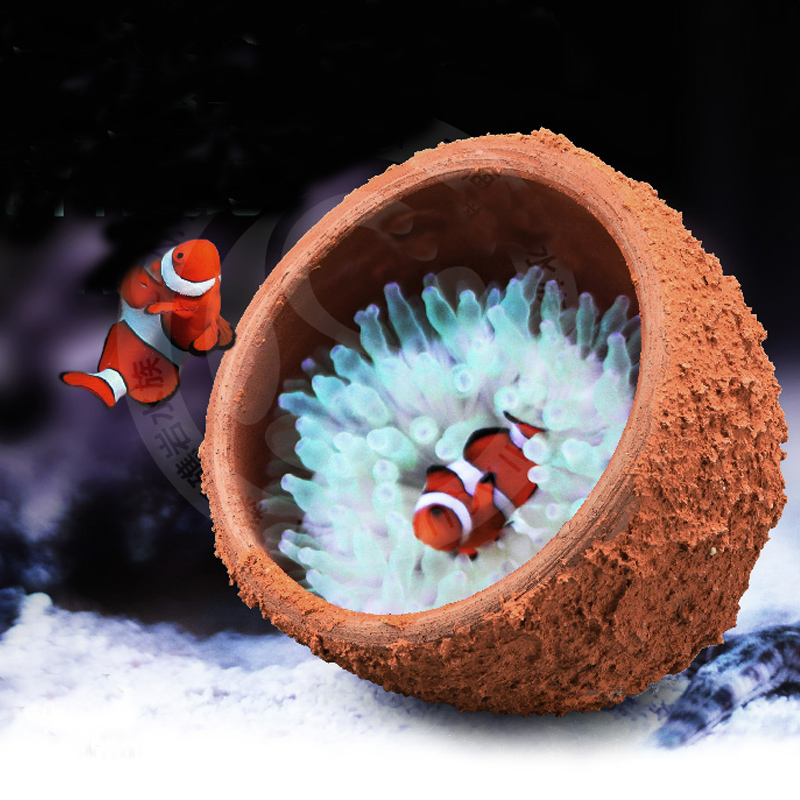Анемоновое гнездо предотвращаю – обзор и цена Marine Aquarium Live Sand
