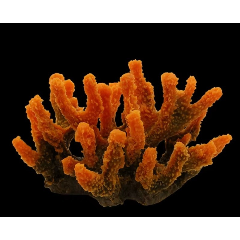 Искусственные коралловые рифы  – обзор и цена Aquarium Marine Rock