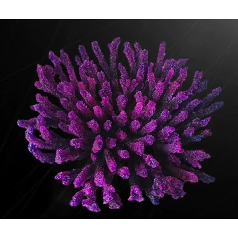 Искусственные коралловые рифы  – обзор и цена Aquarium Marine Rock