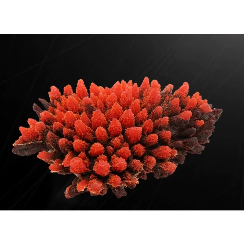 Искусственные коралловые рифы  – обзор и цена Aquarium Marine Rock