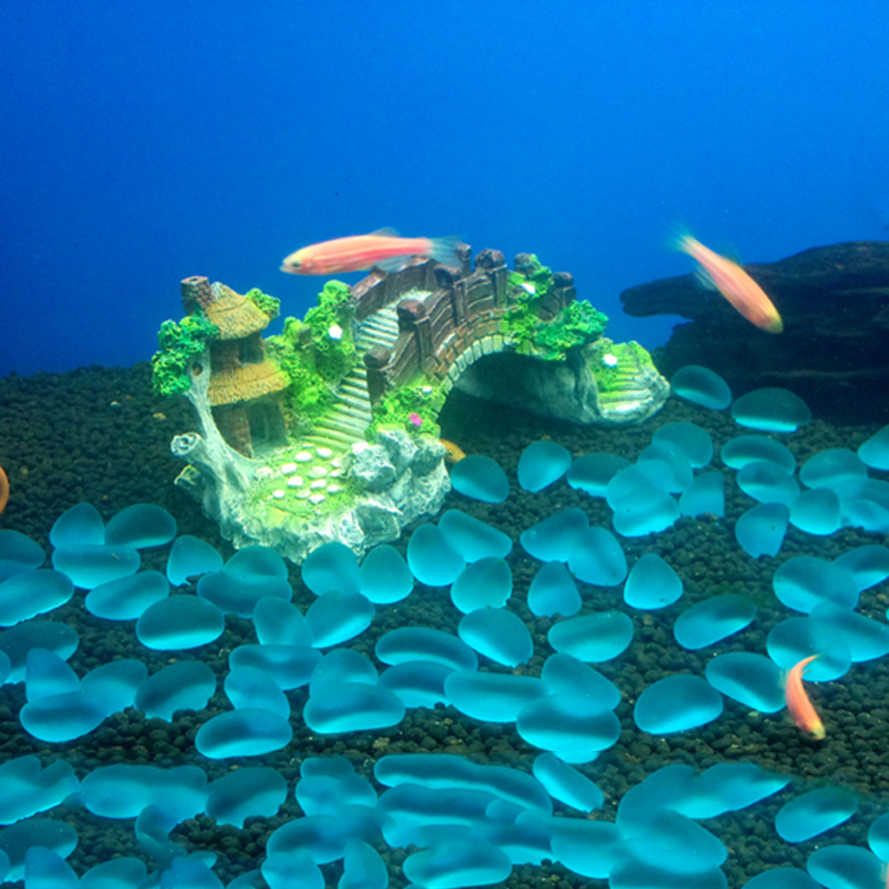 Аксессуары для аквариума, бесе – обзор и цена Marine Aquarium All In One