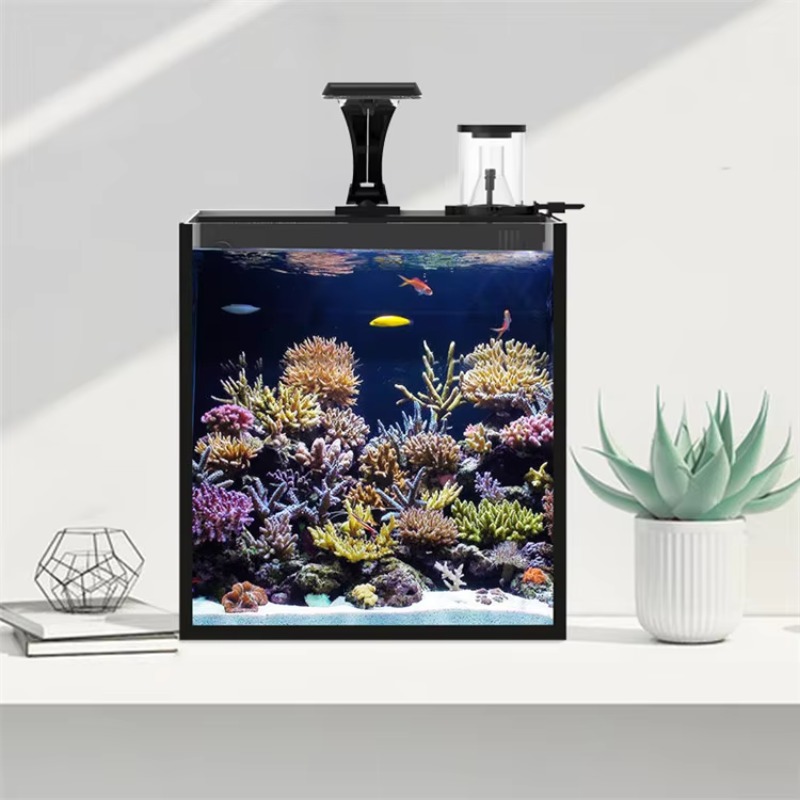 Настольный изогнутый аквариум  – обзор и цена Marine Aquarium All In One