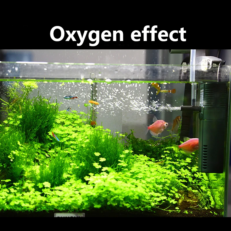 SUNSUN mini nano 111B 311B 611 – обзор и цена Marine Aquarium Uv Sterilizer