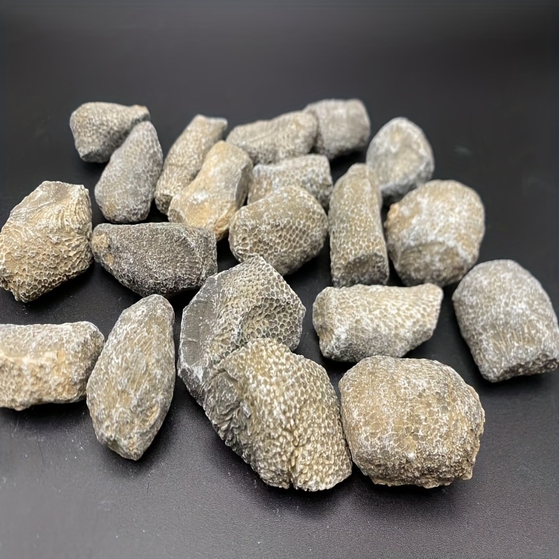 1 шт. натуральный коралловый к – обзор и цена Aquarium Marine Rock