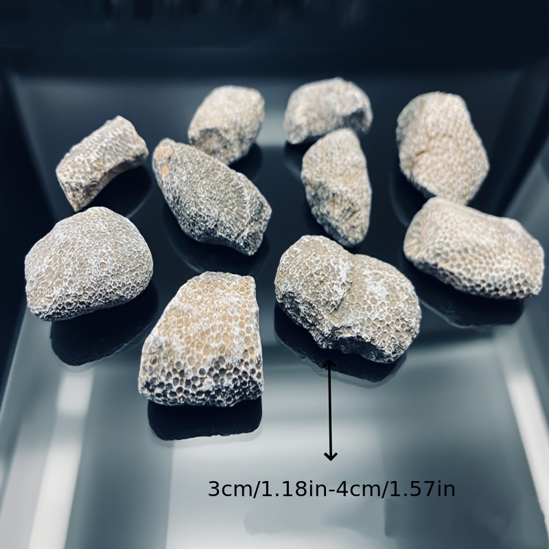 1 шт. натуральный коралловый к – обзор и цена Aquarium Marine Rock