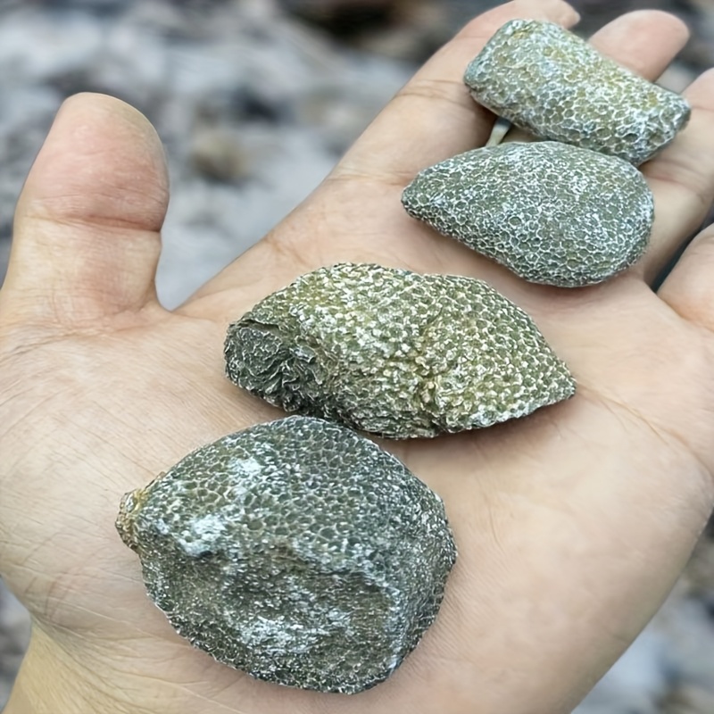 1 шт. натуральный коралловый к – обзор и цена Aquarium Marine Rock