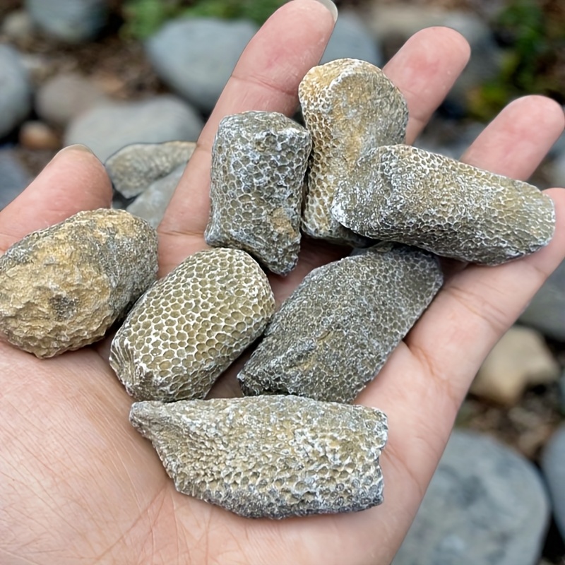 1 шт. натуральный коралловый к – обзор и цена Aquarium Marine Rock